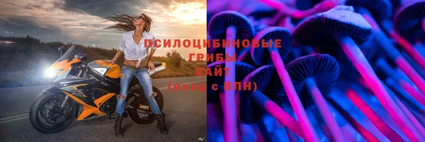 тгк Армянск