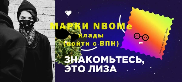 гашик Арсеньев