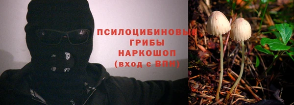 гашик Арсеньев