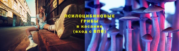 гашик Арсеньев