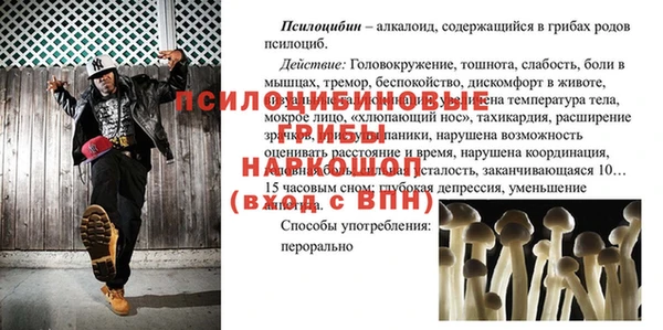тгк Армянск