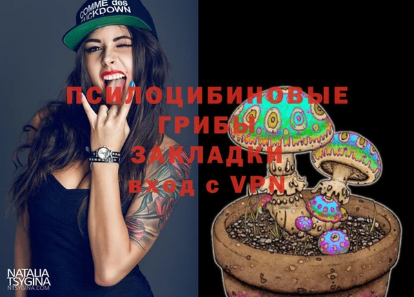 тгк Армянск