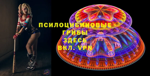 гашик Арсеньев