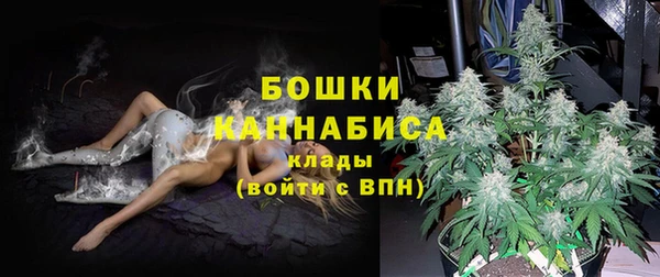гашик Арсеньев