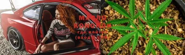 гашик Арсеньев