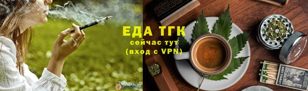 гашик Арсеньев